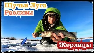 Щука на Жерлицы. Заливные луга реки Тобол.