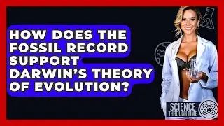 How Does the Fossil Record Support Darwin’s Theory of Evolution? - Science Through Time