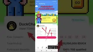 Stake your tomarket coin & Mine more airdrop high rewards - More information you need