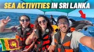 Dolphins and snorkeling in Sri Lanka - Trincomalee