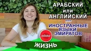 На каком языке говорят в Дубае. Языки Эмиратов. Арабский в ОАЭ (часть 2)