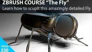 ZBrush Online Training Course - Learn Zbrush Model a FLY!