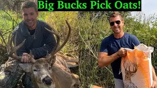 Planting Oats For Deer | Best Fall Food Plots For Big Bucks!  Start To Finish