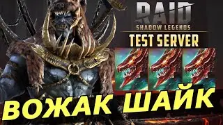 RAID: ВОЖАК ШАЙК И ЕГО СТАЯ 🐺🐺🐺 / АРЕНА /  ГИДРА (ГАЙД/ОЗОР) | Packmaster Shyek