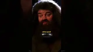 Хагрид предъявил Дамблдору/Озвучка DL STUDIO 