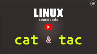 Linux cat command