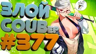 ЗЛОЙ BEST COUB Forever 