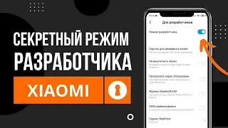 РЕЖИМ РАЗРАБОТЧИКА XIAOMI MIUA | ПРО ЭТИ ФУНКЦИЙ ТЫ НЕ ЗНАЛ