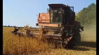 Молотим сою Доном. Комбайн ДОН-1500 Ростсельмаш. Смолотили сою.  