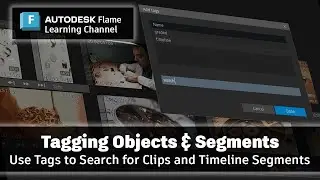 Tagging Media Panel Objects and Timeline Segments - Flame 2025.1