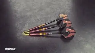 NEW DARTS SET | Peter Wright Copper Fusion