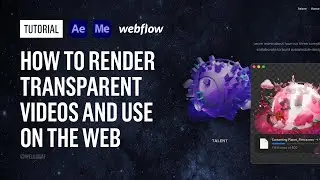 Tutorial - How to render transparent videos and use on the web