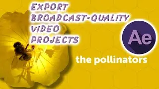 Export Broadcast Quality Video Projects in After Effects