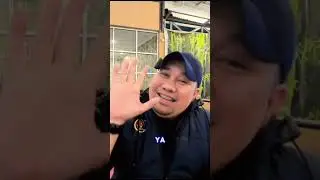 JEPANG VS WAKANDA 