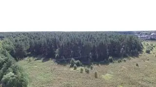 Раменский район село Строкино 23.08.2018