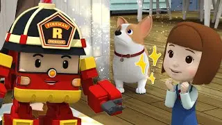 Be Careful when Playing with Buddy│Learn about Safety Tips with POLI│Safety Episodes│Robocar POLI TV