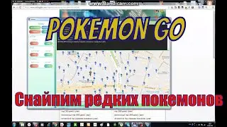 Catchem бот I Snipe I Ловим редких покемонов без палева