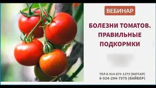 Фрагмент записи вебинара "БОЛЕЗНИ ТОМАТОВ. ПРАВИЛЬНЫЕ ПОДКОРМКИ. Томаты  Часть 3 Надежда Марценюк