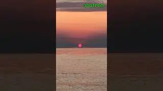 Любимые кадры восхода солнца. Корабль в море. Зерновой коридор. История. Одесса сегодня. #зоотроп