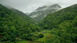 4K Footage Of Lush Green Valley Thailand | 4K Video