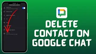 How to Delete Contacts in Google Chat on iPhone (2024)