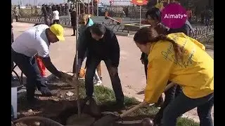 Советы и предложения по озеленению Алматы собирают эксперты (18.10.17)