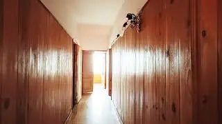 Обзор дома, деревня Введенское