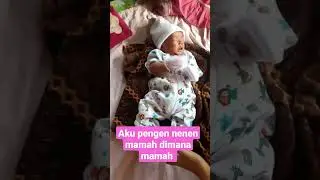 masya allah lucunya bayi .kalau mau nenen asi bunda . 