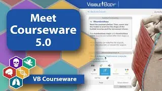 Visible Body | Meet VB Courseware 5.0