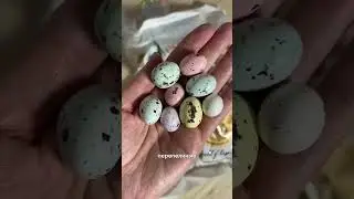 Арт. на видео • лучшие находки #wildberries посылка|покупка в дом #ozon #aliexpress #яндекс