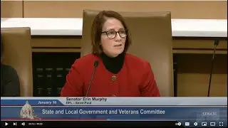 Committee on State and Local Government and Veterans - 01/10/21