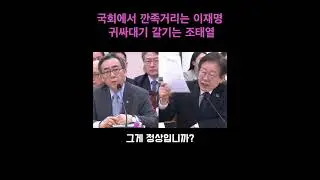 국회에서 깐족거리는 이재명 귀싸대기 갈기는 조태열
