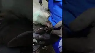 Замена сайлентблоков без пресса
