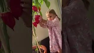 Какая лапочка 🥰 #shortvideo #cute