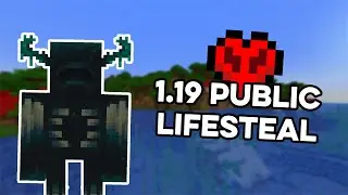 NEW 1.19 Public Lifesteal SMP (free to join)