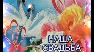 Футаж Наша свадьба фон лебеди цветы