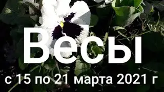 Весы Таро-гороскоп с 15 по 21 марта  2021 г.