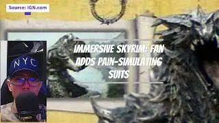 Immersive Skyrim: Fan Adds Pain-Simulating Suits
