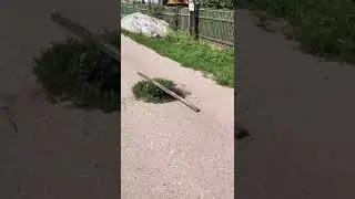 Жители Рыбного жалуются на входы в потусторонний мир