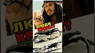 Почему КРАБЫ помогли Джеку Воробью? #piratesofthecaribbean #jacksparrow #кино #интересно #disney