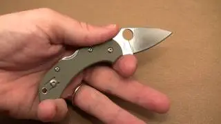 Spyderco G10 Dragonfly Review