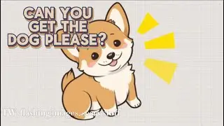 Can You Get the Dog Please? – Animation
