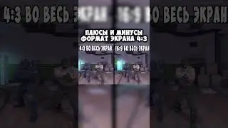 плюсы и минусы формат экрана 4 на 3 #instagramyoutube #instavideo #shortsadoptme