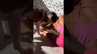 Watch😱 Fun Workouts with My Dog! #dogs #dogfunny #funnydogs #fitness #homeworkout #beautifulgirl