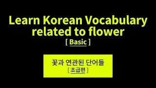 Learn Korean Vocabulary Related To flower: Basic Korean Words for Study Hangul Alphabet Language