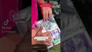 Підживлення, антистрес після стрижки блакитної ялинки, хвойних #садсвітласвітлани #garden#Аміностар
