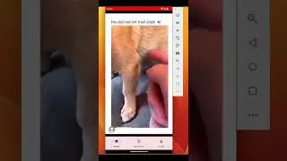 Tiktok Clone | Shorts Video Application | Full Tutorial #androidstudio #firebase #shorts  #kotlin