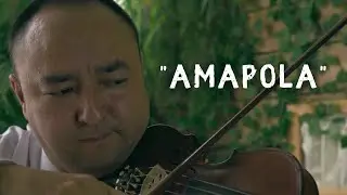 Amapola / violin cover / скрипка / music / Arman / Классическая музыка. На скрипке