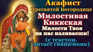 Акафист Пресвятой Богородице пред иконой Милостивая Киккская, молитва Божией Матери