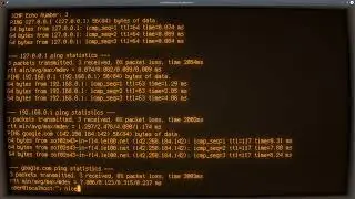 Python ASMR - Ping Multiple IPs from List with N number of Packets - No Talking